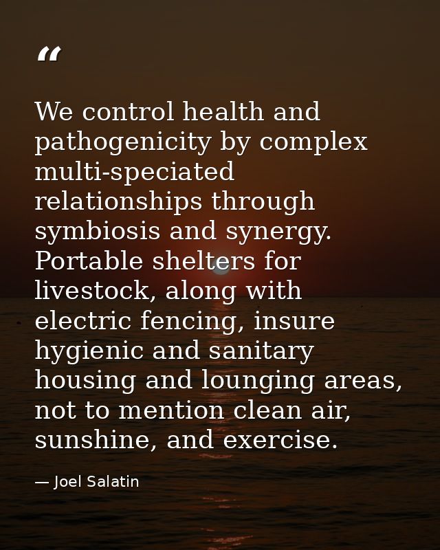 We control health and pathogenicity by complex multi-speciated relationships through symbiosis and synergy. Portable she — Joel Salatin