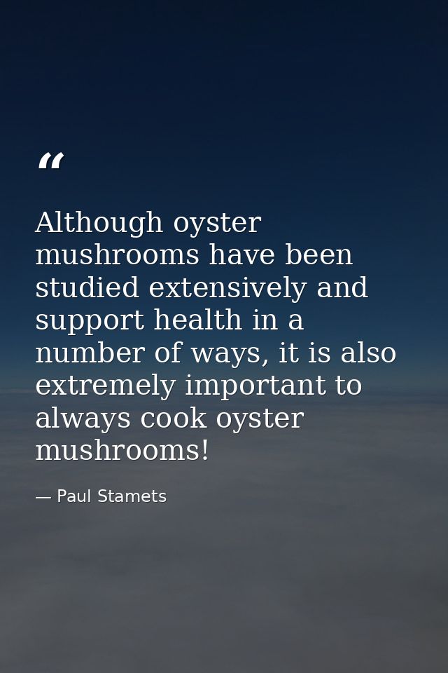 Although oyster mushrooms have been studied extensively and support health in a number of ways, it is also extremely imp — Paul Stamets