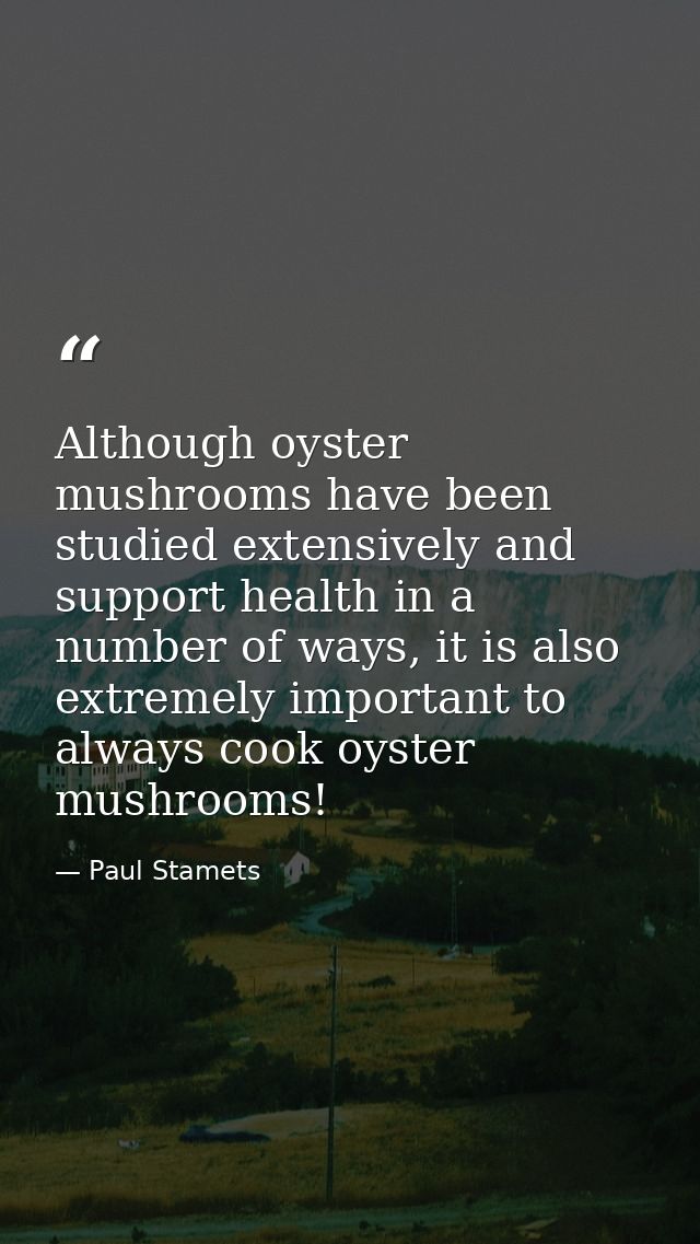 Although oyster mushrooms have been studied extensively and support health in a number of ways, it is also extremely imp — Paul Stamets