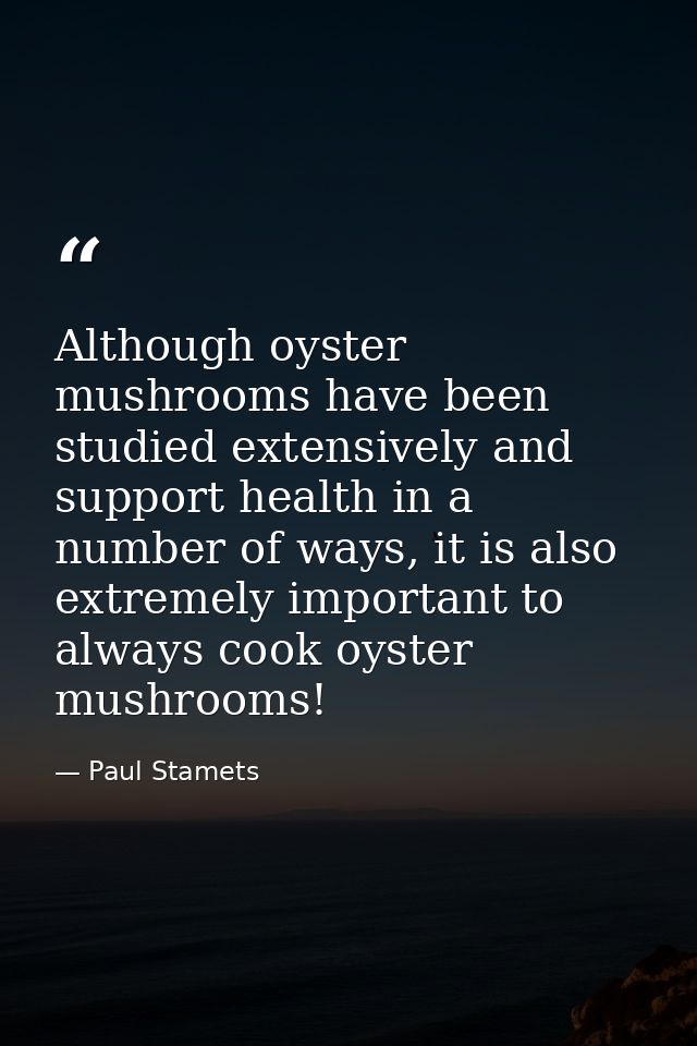 Although oyster mushrooms have been studied extensively and support health in a number of ways, it is also extremely imp — Paul Stamets