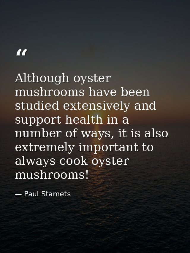 Although oyster mushrooms have been studied extensively and support health in a number of ways, it is also extremely imp — Paul Stamets
