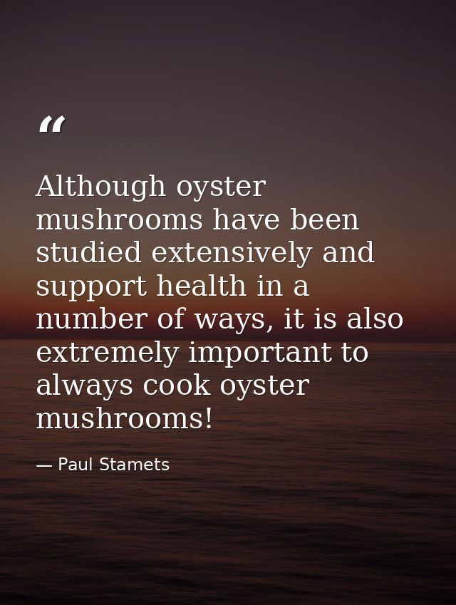 Although oyster mushrooms have been studied extensively and support health in a number of ways, it is also extremely imp — Paul Stamets