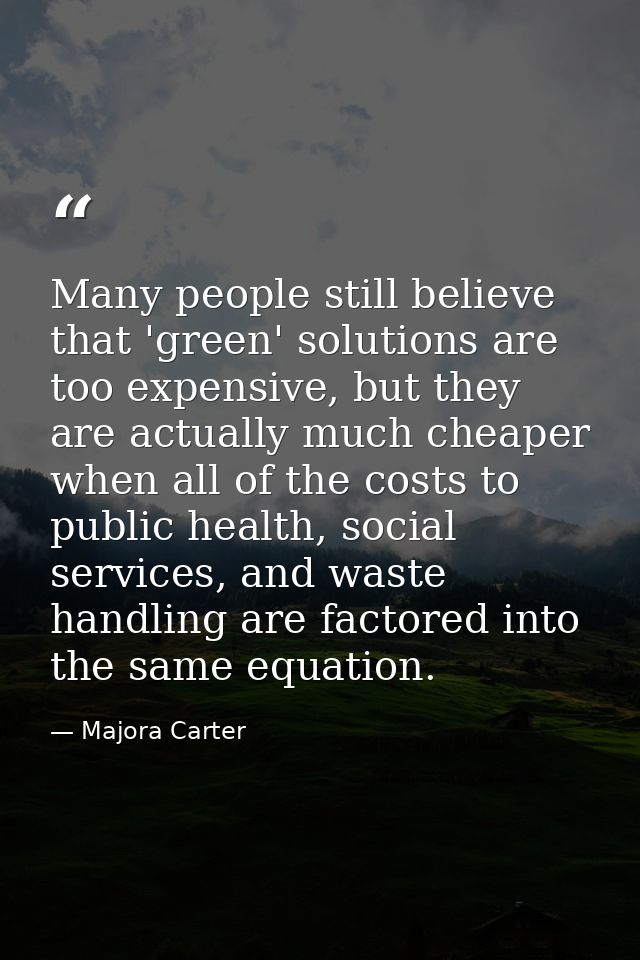 Many people still believe that 'green' solutions are too expensive, but they are actually much cheaper when all of the c — Majora Carter