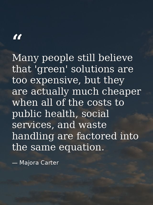 Many people still believe that 'green' solutions are too expensive, but they are actually much cheaper when all of the c — Majora Carter