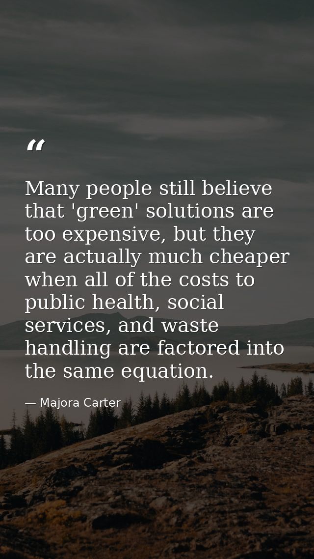 Many people still believe that 'green' solutions are too expensive, but they are actually much cheaper when all of the c — Majora Carter