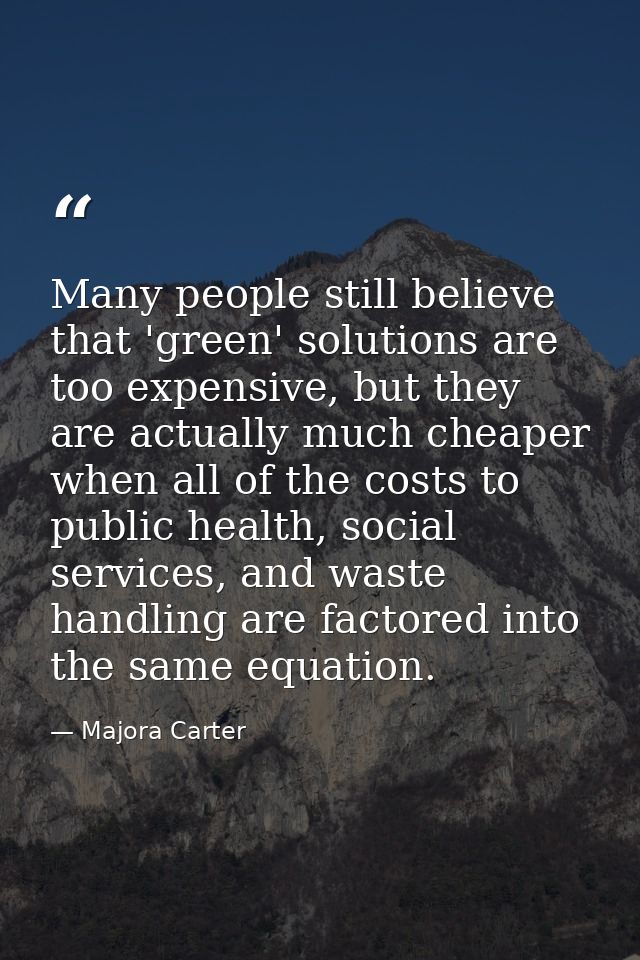 Many people still believe that 'green' solutions are too expensive, but they are actually much cheaper when all of the c — Majora Carter
