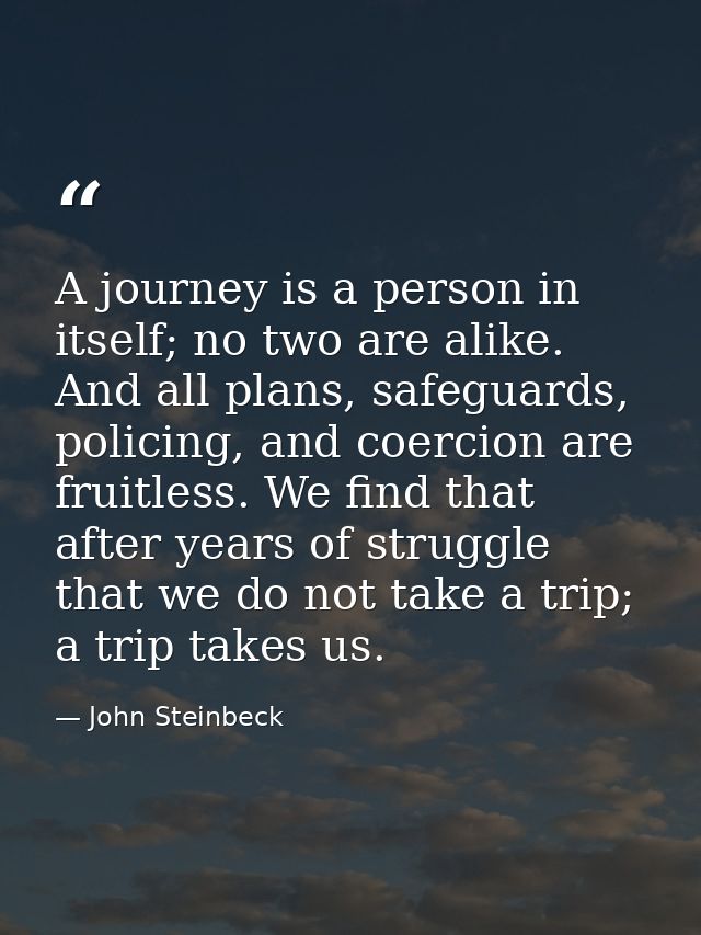 A journey is a person in itself; no two are alike. And all plans, safeguards, policing, and coercion are fruitless. We f — John Steinbeck