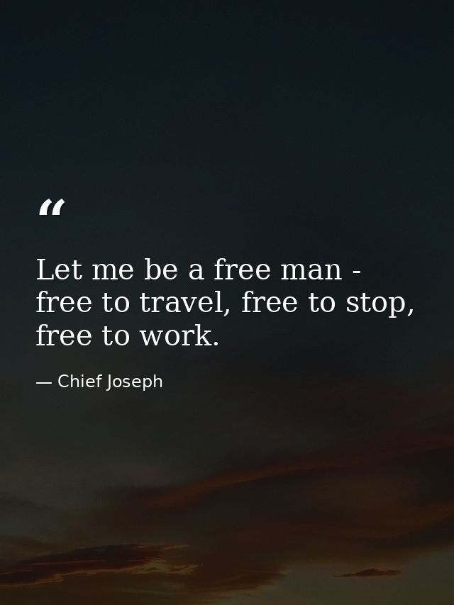 Let me be a free man - free to travel, free to stop, free to work. — Chief Joseph