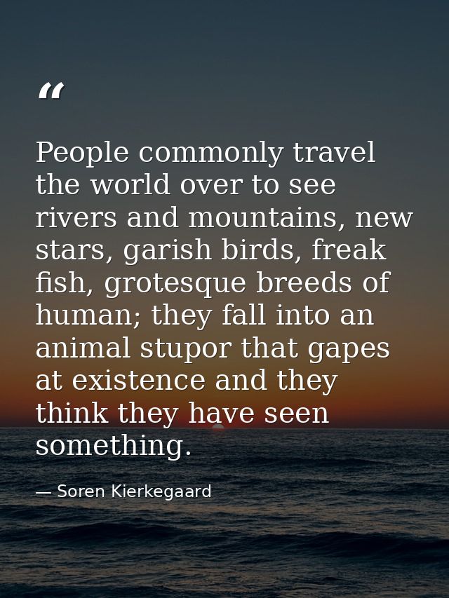 People commonly travel the world over to see rivers and mountains, new stars, garish birds, freak fish, grotesque breeds — Soren Kierkegaard
