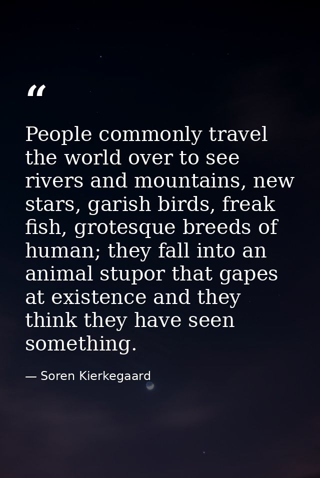 People commonly travel the world over to see rivers and mountains, new stars, garish birds, freak fish, grotesque breeds — Soren Kierkegaard