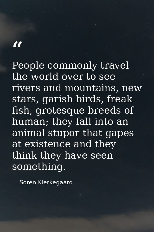 People commonly travel the world over to see rivers and mountains, new stars, garish birds, freak fish, grotesque breeds — Soren Kierkegaard
