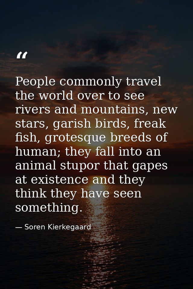 People commonly travel the world over to see rivers and mountains, new stars, garish birds, freak fish, grotesque breeds — Soren Kierkegaard