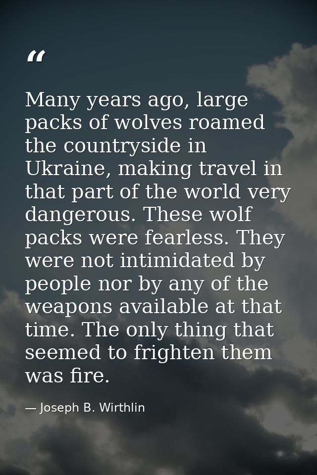 Many years ago, large packs of wolves roamed the countryside in Ukraine, making travel in that part of the world very da — Joseph B. Wirthlin