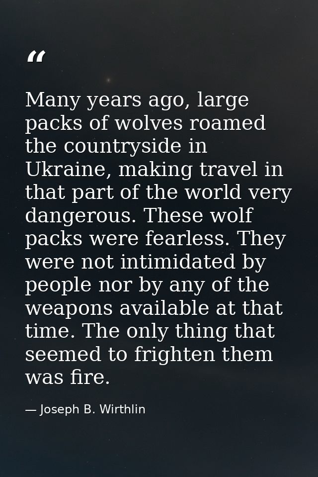 Many years ago, large packs of wolves roamed the countryside in Ukraine, making travel in that part of the world very da — Joseph B. Wirthlin
