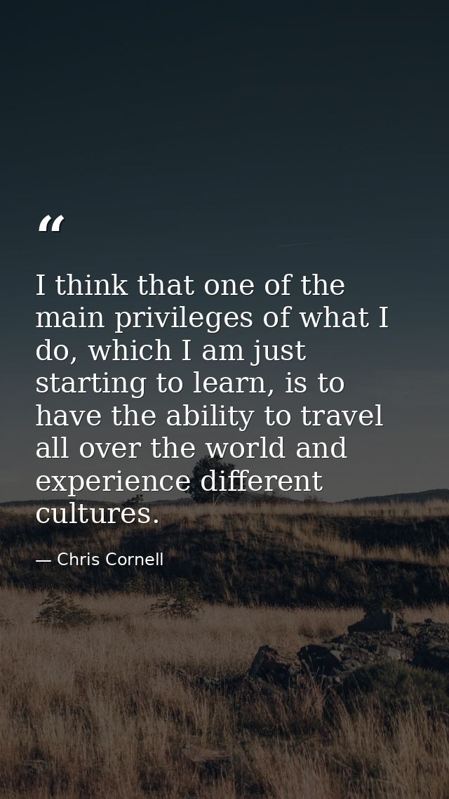 I think that one of the main privileges of what I do, which I am just starting to learn, is to have the ability to trave — Chris Cornell