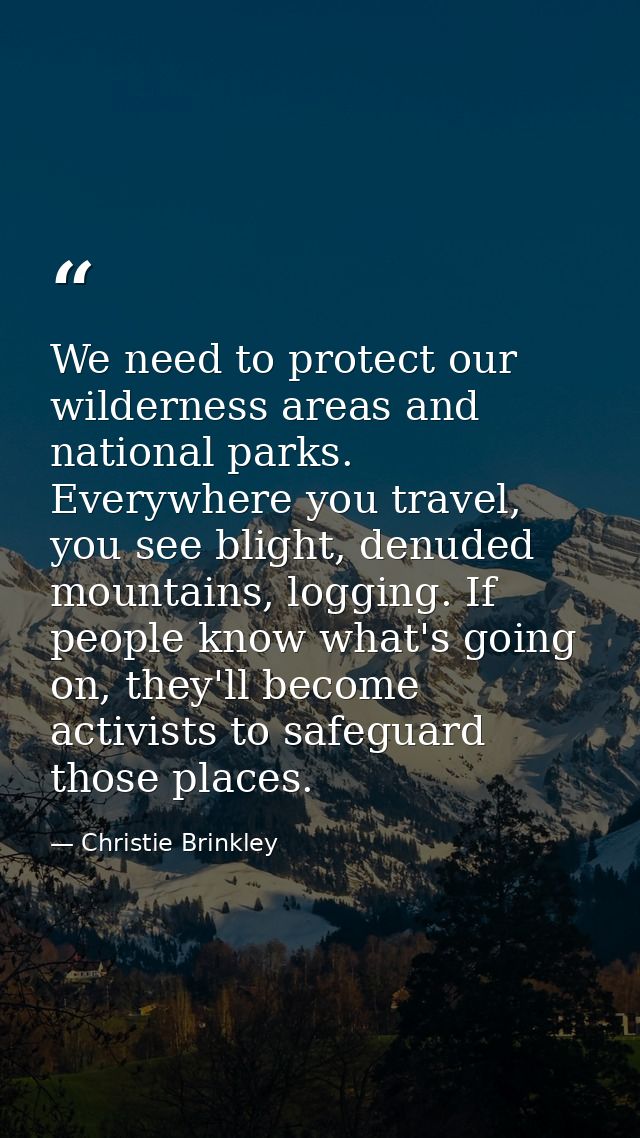 We need to protect our wilderness areas and national parks. Everywhere you travel, you see blight, denuded mountains, lo — Christie Brinkley