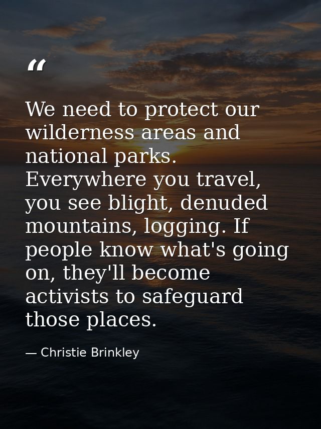 We need to protect our wilderness areas and national parks. Everywhere you travel, you see blight, denuded mountains, lo — Christie Brinkley