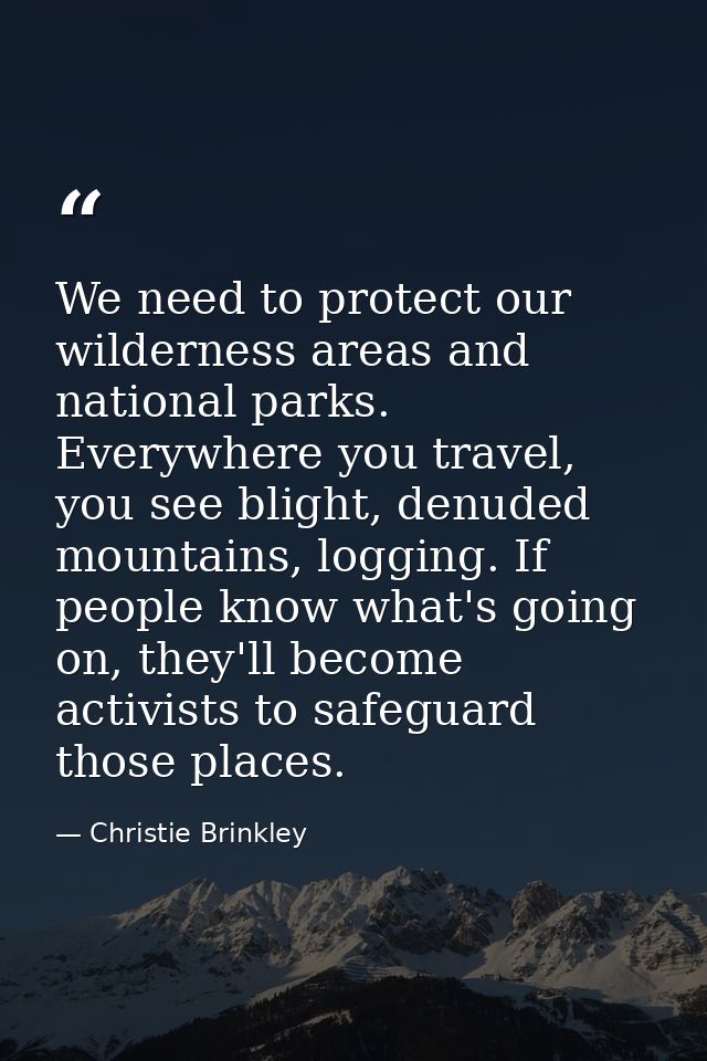 We need to protect our wilderness areas and national parks. Everywhere you travel, you see blight, denuded mountains, lo — Christie Brinkley