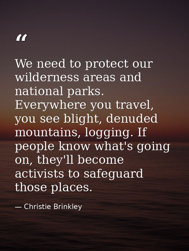 We need to protect our wilderness areas and national parks. Everywhere you travel, you see blight, denuded mountains, lo — Christie Brinkley