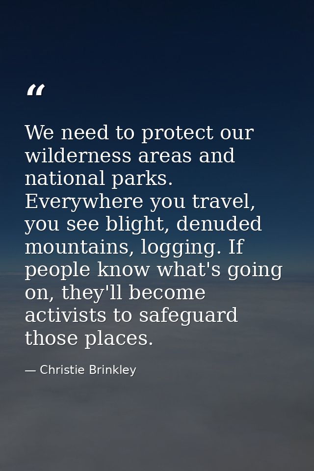 We need to protect our wilderness areas and national parks. Everywhere you travel, you see blight, denuded mountains, lo — Christie Brinkley