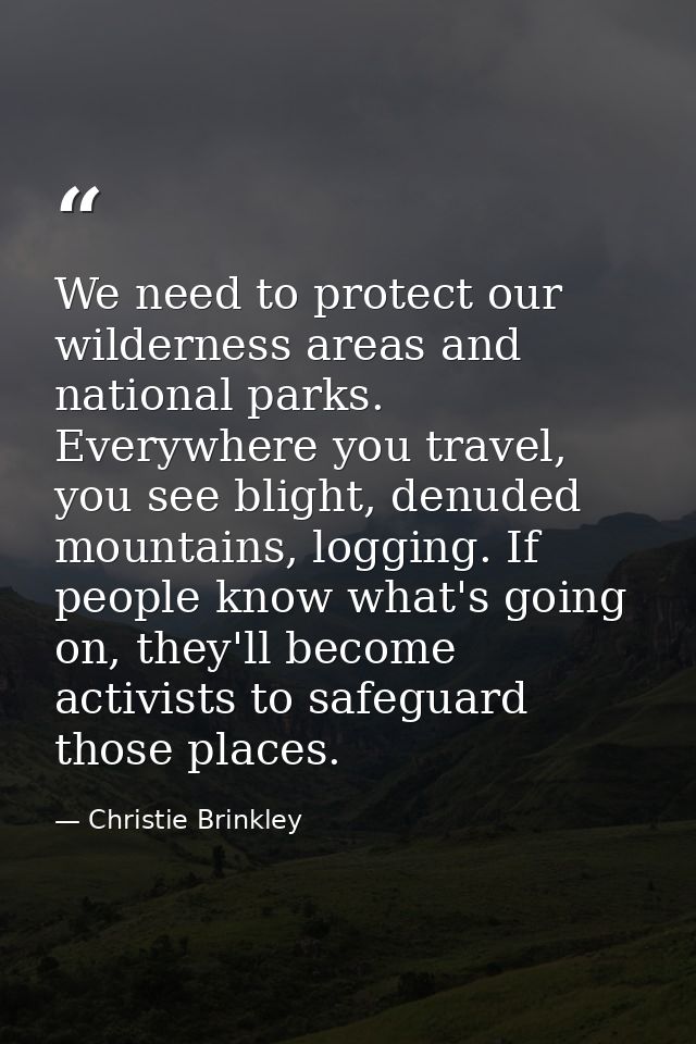 We need to protect our wilderness areas and national parks. Everywhere you travel, you see blight, denuded mountains, lo — Christie Brinkley