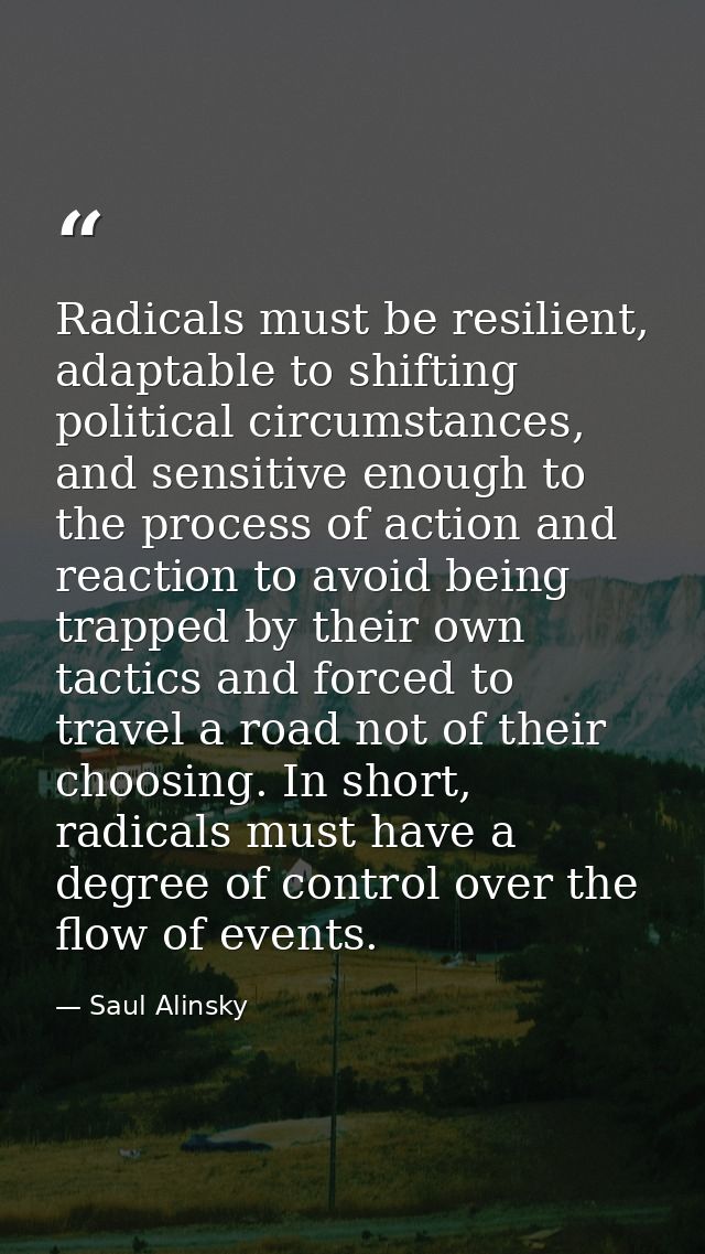 Radicals must be resilient, adaptable to shifting political circumstances, and sensitive enough to the process of action — Saul Alinsky