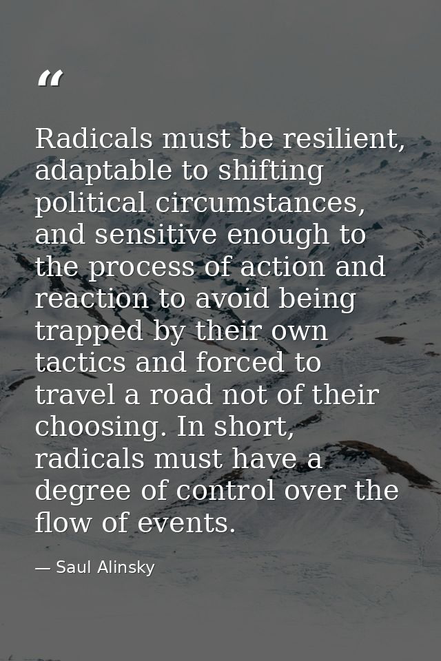 Radicals must be resilient, adaptable to shifting political circumstances, and sensitive enough to the process of action — Saul Alinsky
