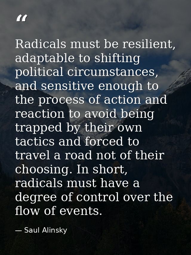 Radicals must be resilient, adaptable to shifting political circumstances, and sensitive enough to the process of action — Saul Alinsky