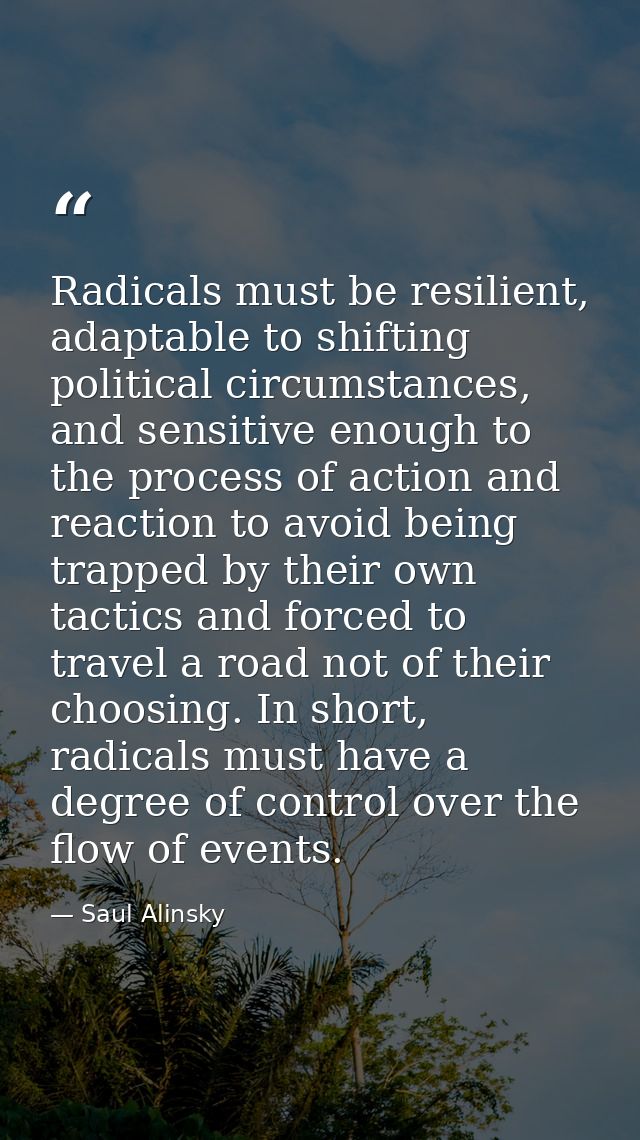 Radicals must be resilient, adaptable to shifting political circumstances, and sensitive enough to the process of action — Saul Alinsky