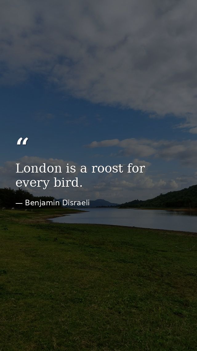 London is a roost for every bird. — Benjamin Disraeli