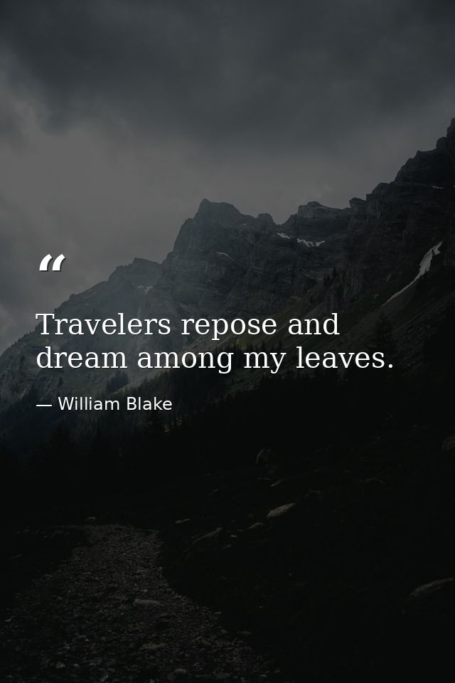 Travelers repose and dream among my leaves. — William Blake