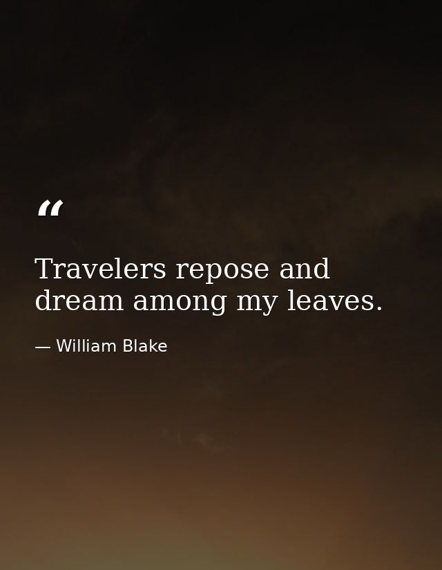 Travelers repose and dream among my leaves. — William Blake