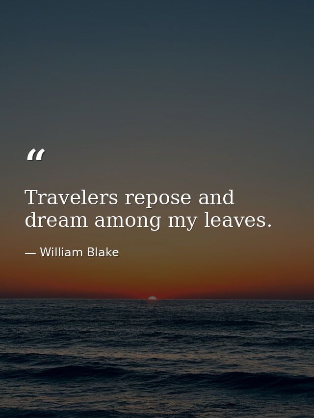 Travelers repose and dream among my leaves. — William Blake