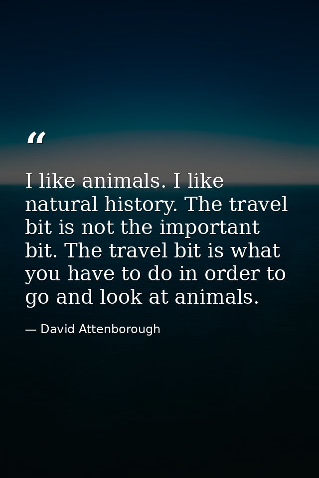 I like animals. I like natural history. The travel bit is not the important bit. The travel bit is what you have to do i — David Attenborough