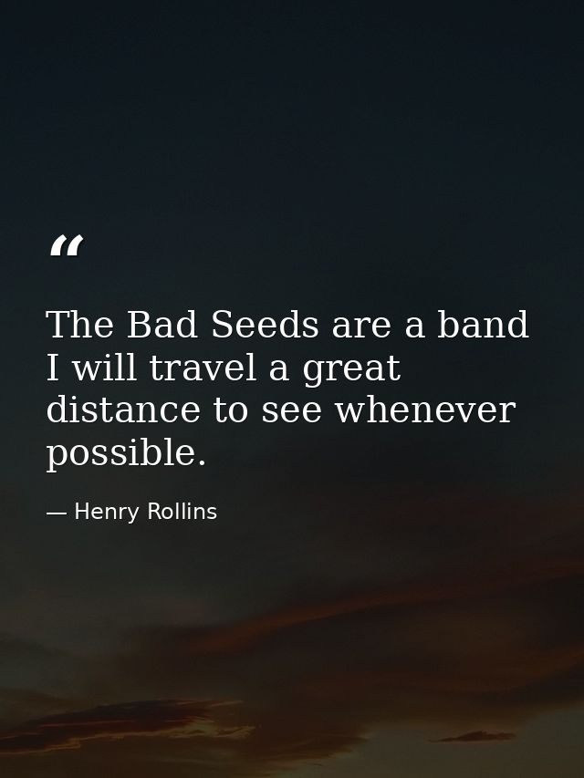 The Bad Seeds are a band I will travel a great distance to see whenever possible. — Henry Rollins
