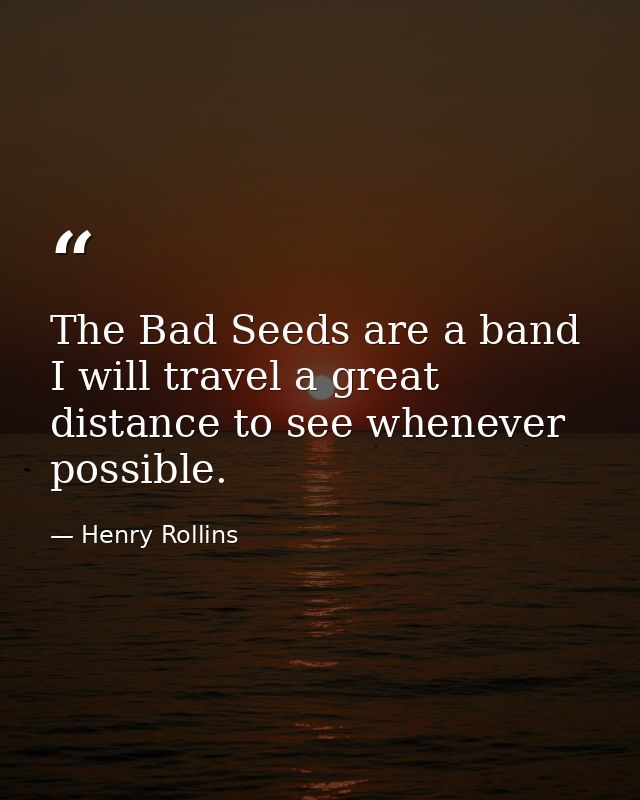 The Bad Seeds are a band I will travel a great distance to see whenever possible. — Henry Rollins