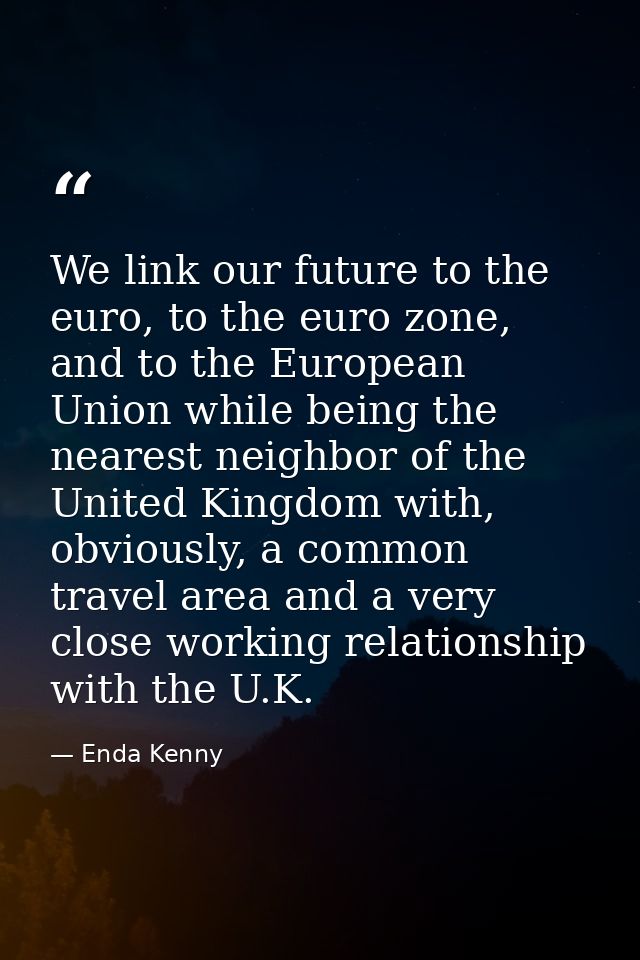 We link our future to the euro, to the euro zone, and to the European Union while being the nearest neighbor of the Unit — Enda Kenny