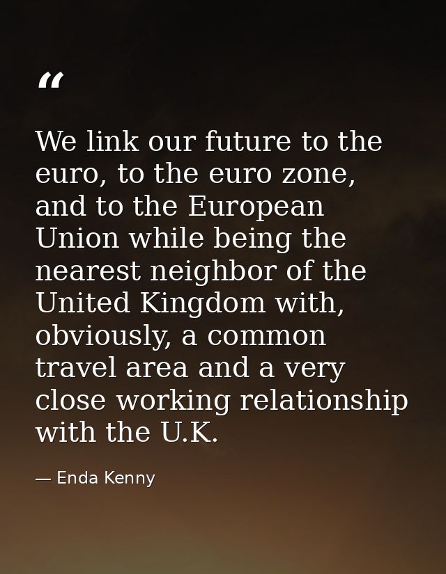 We link our future to the euro, to the euro zone, and to the European Union while being the nearest neighbor of the Unit — Enda Kenny
