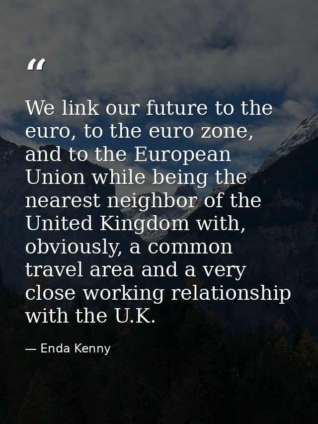 We link our future to the euro, to the euro zone, and to the European Union while being the nearest neighbor of the Unit — Enda Kenny