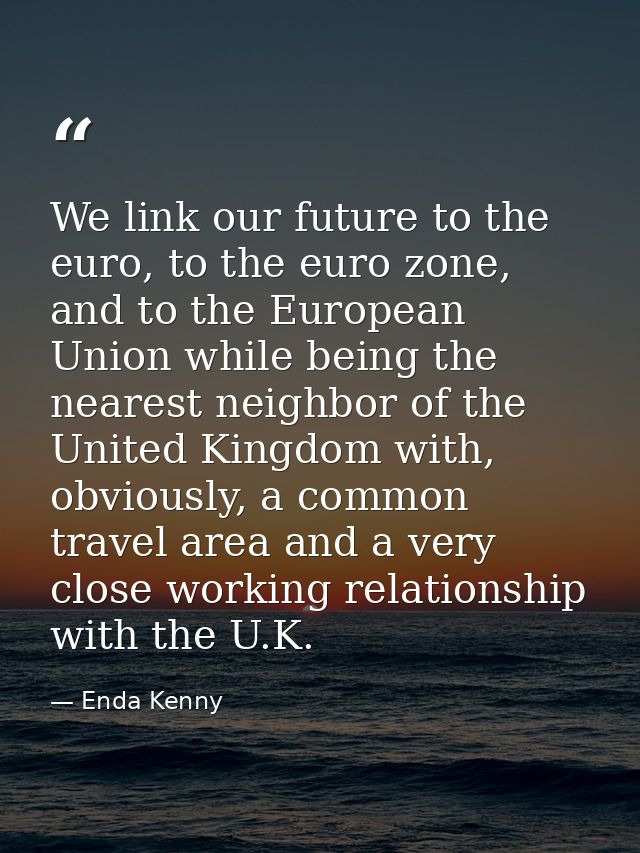 We link our future to the euro, to the euro zone, and to the European Union while being the nearest neighbor of the Unit — Enda Kenny