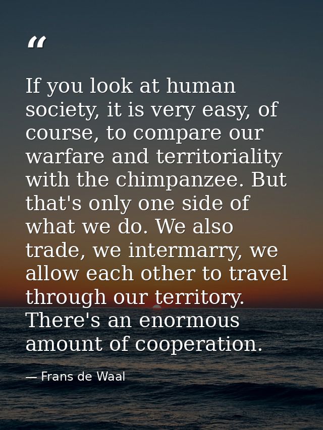 If you look at human society, it is very easy, of course, to compare our warfare and territoriality with the chimpanzee. — Frans de Waal