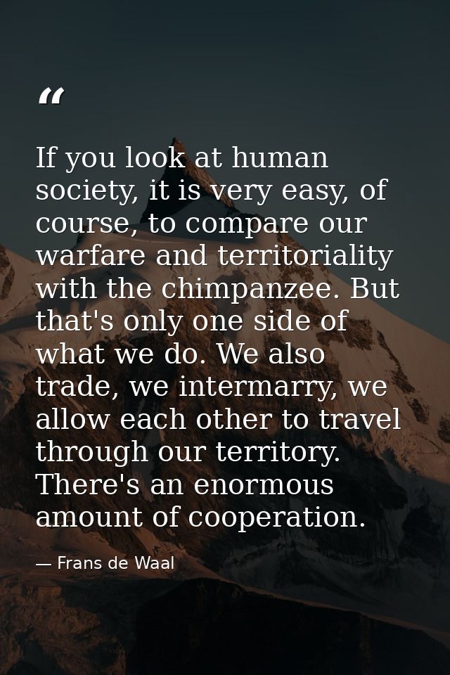 If you look at human society, it is very easy, of course, to compare our warfare and territoriality with the chimpanzee. — Frans de Waal