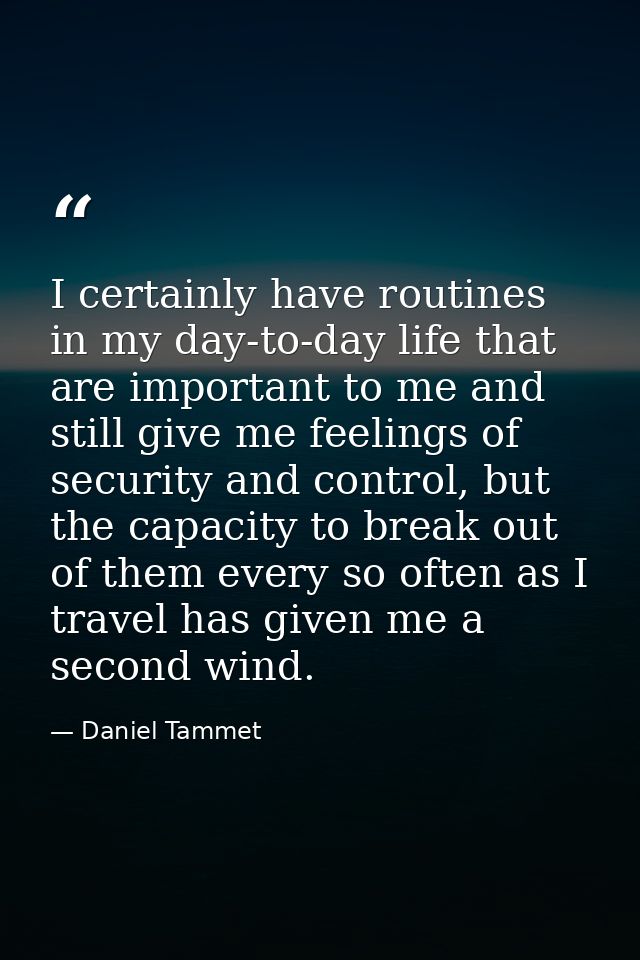 I certainly have routines in my day-to-day life that are important to me and still give me feelings of security and cont — Daniel Tammet