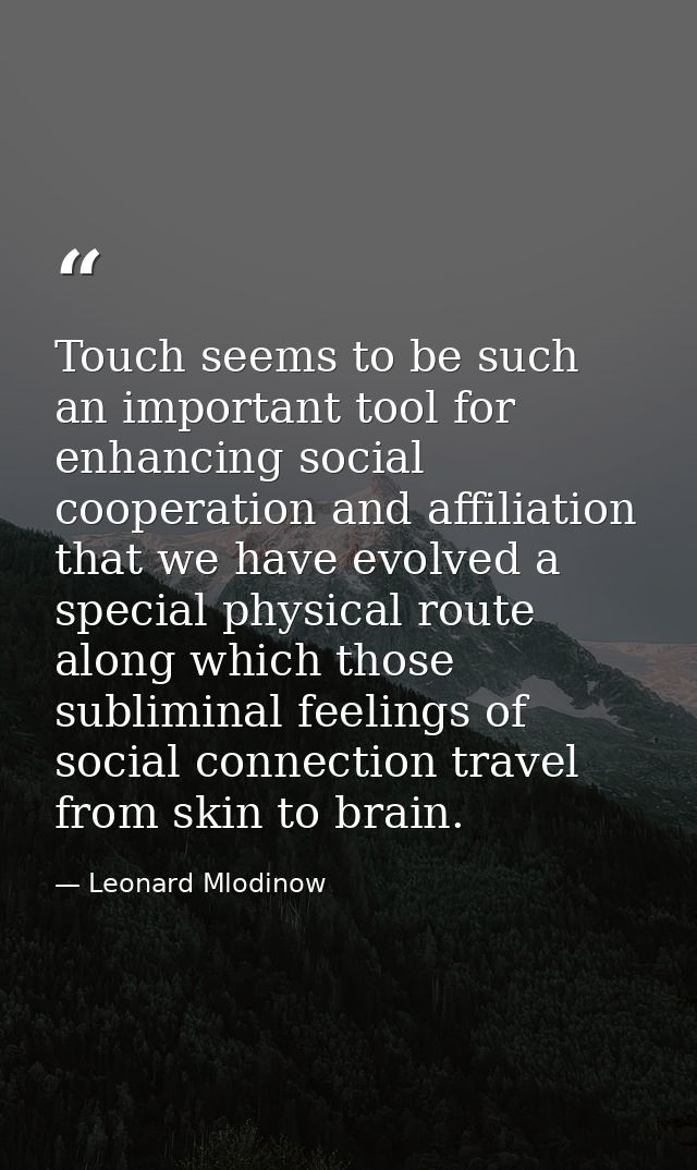 Touch seems to be such an important tool for enhancing social cooperation and affiliation that we have evolved a special — Leonard Mlodinow