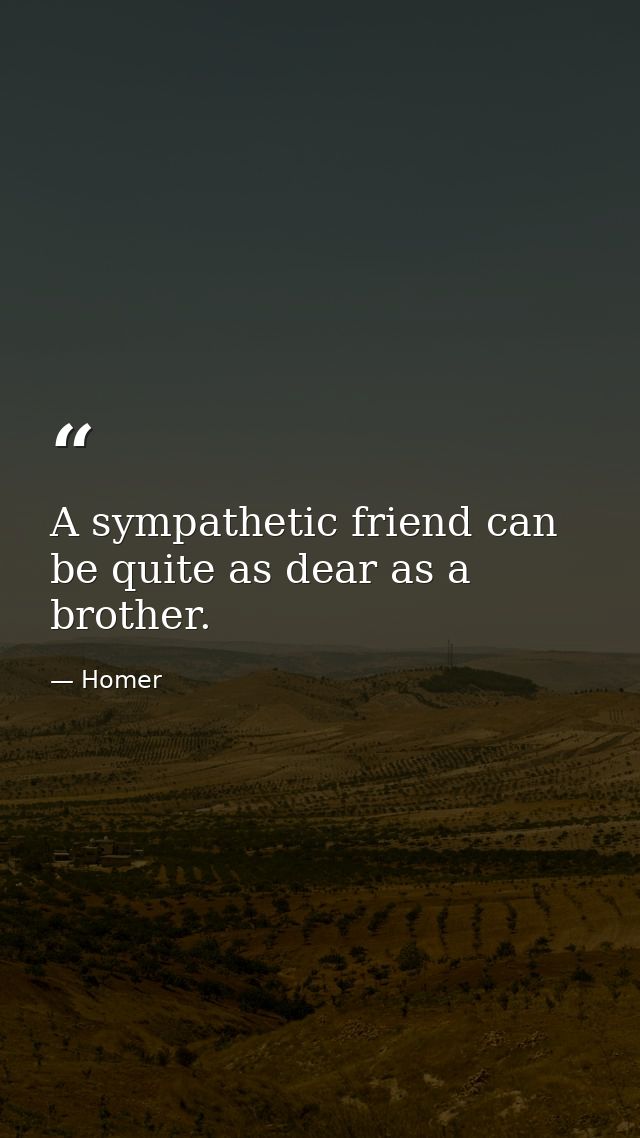 A sympathetic friend can be quite as dear as a brother. — Homer