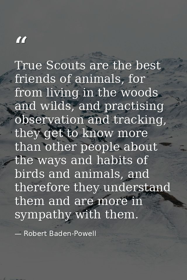 True Scouts are the best friends of animals, for from living in the woods and wilds, and practising observation and trac — Robert Baden-Powell