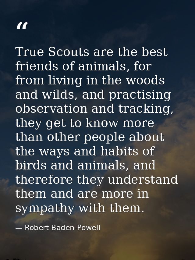 True Scouts are the best friends of animals, for from living in the woods and wilds, and practising observation and trac — Robert Baden-Powell