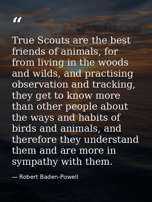 True Scouts are the best friends of animals, for from living in the woods and wilds, and practising observation and trac — Robert Baden-Powell