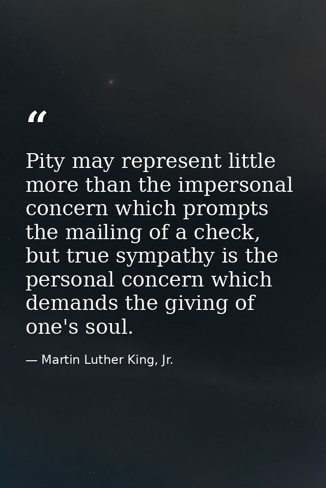 Pity may represent little more than the impersonal concern which prompts the mailing of a check, but true sympathy is th — Martin Luther King, Jr.