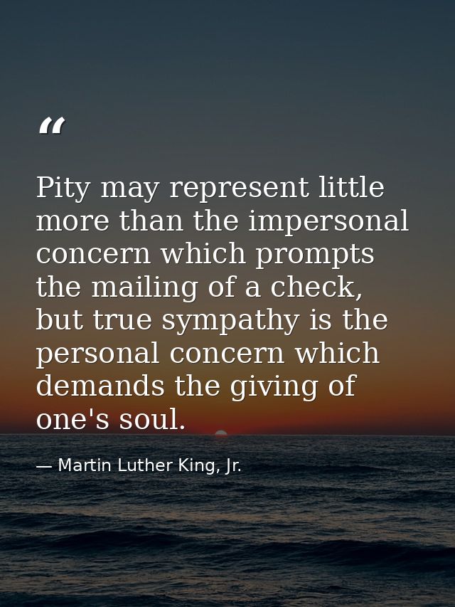 Pity may represent little more than the impersonal concern which prompts the mailing of a check, but true sympathy is th — Martin Luther King, Jr.